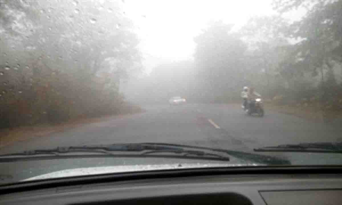 Chandil : कोहरे से हु दिन की शुरुआत, 10 बजे खिलती धूप