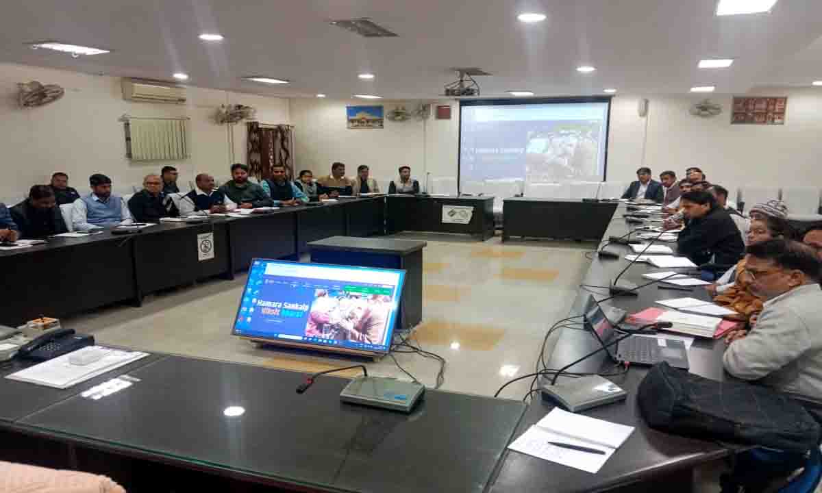 Dausa : जिला स्तरीय सलाहकार/ समीक्षा समिति की बैठक सरकारी योजनाओं में पात्र व्यक्तियों को समय पर लाभान्वित