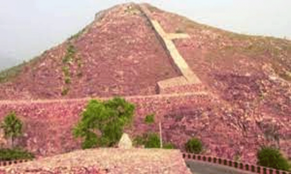 ओएसपीसीबी ने हेमगिर में बिजहान खदान के लिए सार्वजनिक सुनवाई की
