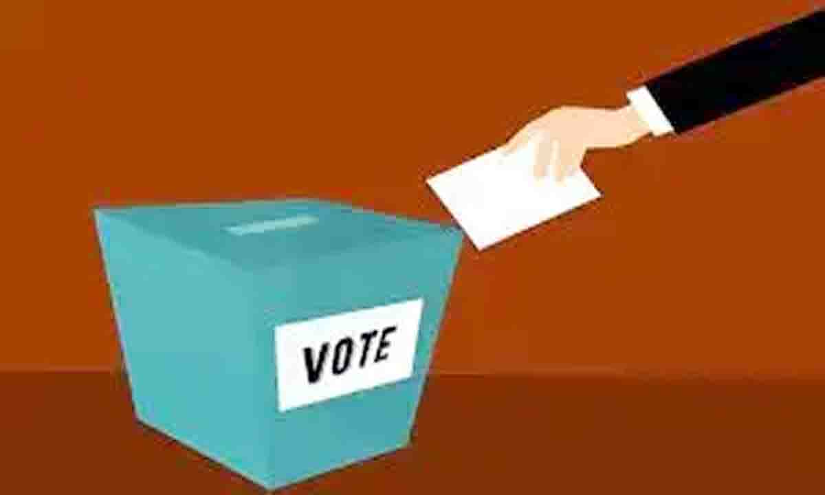 पंचायतीराज संस्थाओं के उपचुनाव 10 जनवरी को