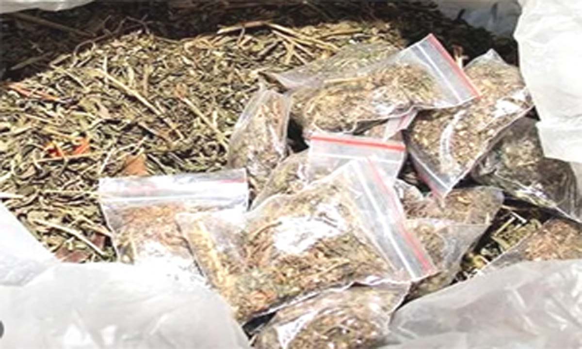 भांग बेचते हुए रंगे हाथ पकड़ा गया किराना दुकान मालिक