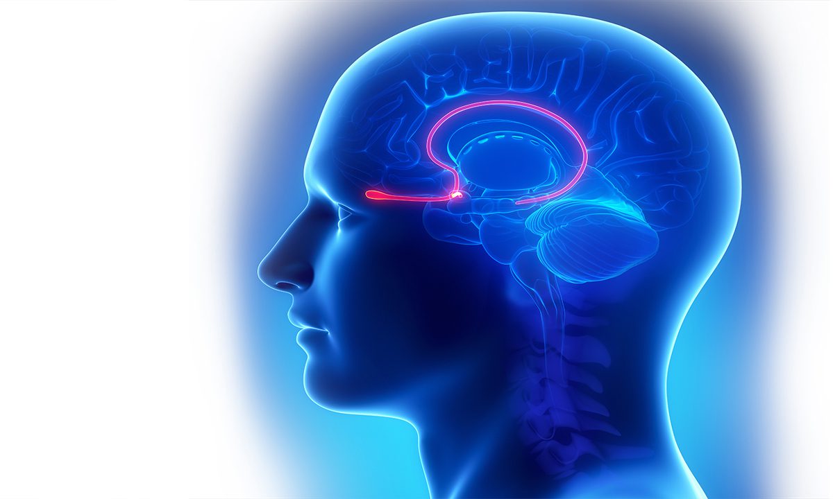 अध्ययन आंत स्वास्थ्य और पार्किंसंस रोग के बीच संबंध का पता लगाएगा