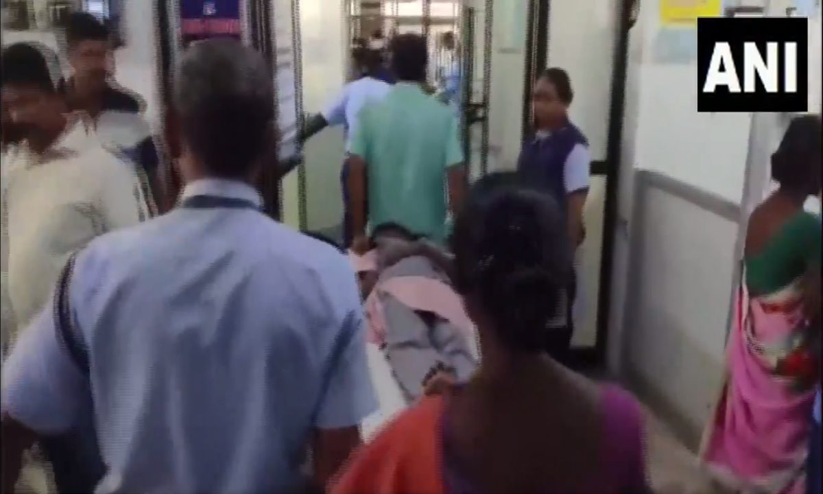स्कूल बस पर गिरा पेड़, 16 छात्र घायल, VIDEO