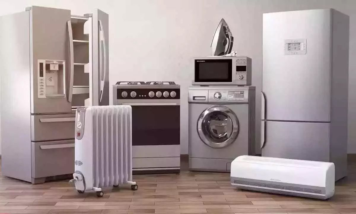 टिकाऊ निर्माताओं की बिक्री में दिखी तेजी
