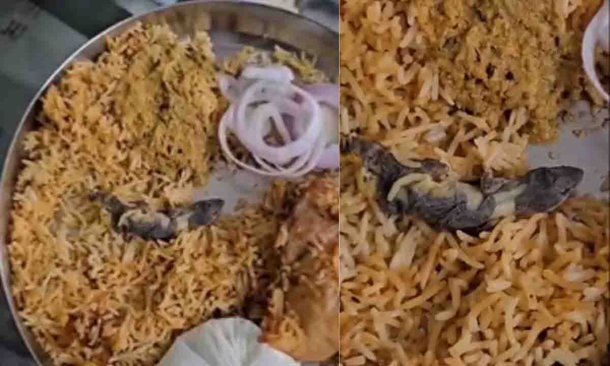 मरे हुए कॉकरोच के बाद चिकन बिरयानी में मिली छिपकली, VIDEO