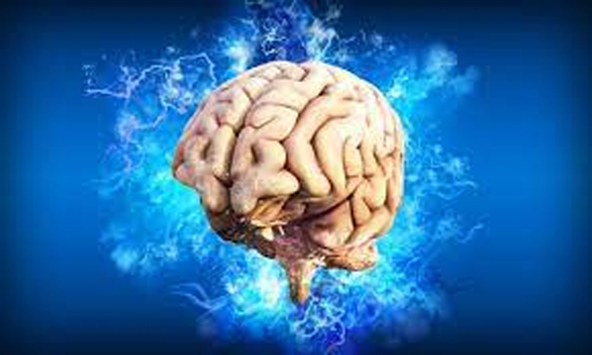वैज्ञानिकों ने स्तनधारी मस्तिष्क के सेल मैप का अनावरण किया