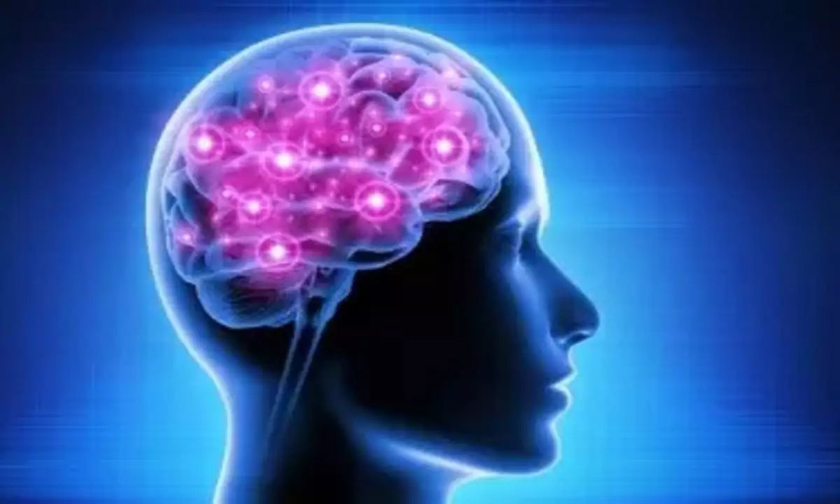 कृत्रिम बुद्धिमत्ता अल्ट्रासोनिक मस्तिष्क बीमारी के इलाज में कम करेगी बाधा