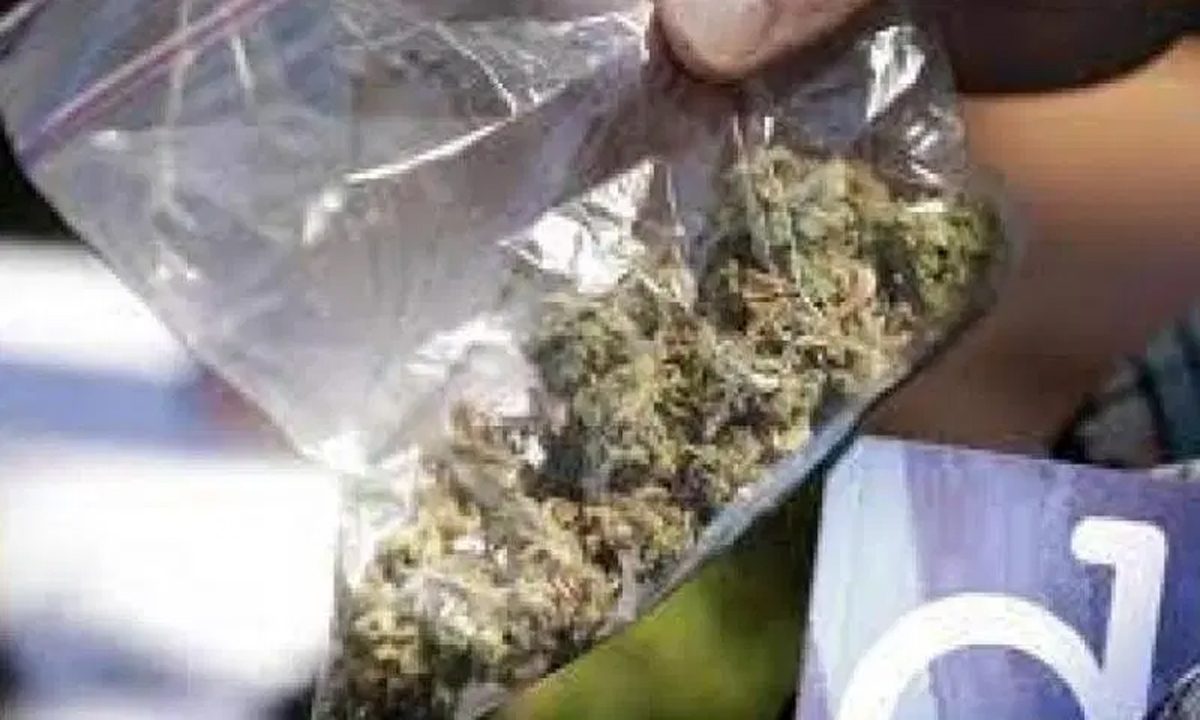 पब पार्किंग क्षेत्र में फेरीवाला पकड़ाया, 1.20 लाख की MDMA जब्त