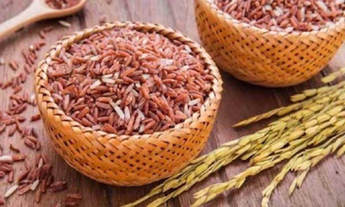 ब्राउन राइस खाने से शरीर को हो सकता है जाने डिटेल