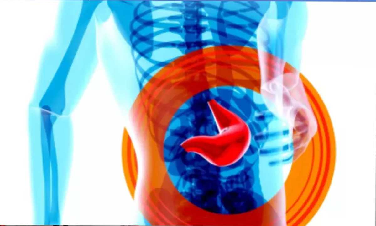 mRNA-आधारित स्टेम सेल थेरेपी लिवर रोग के लिए लाभकारी