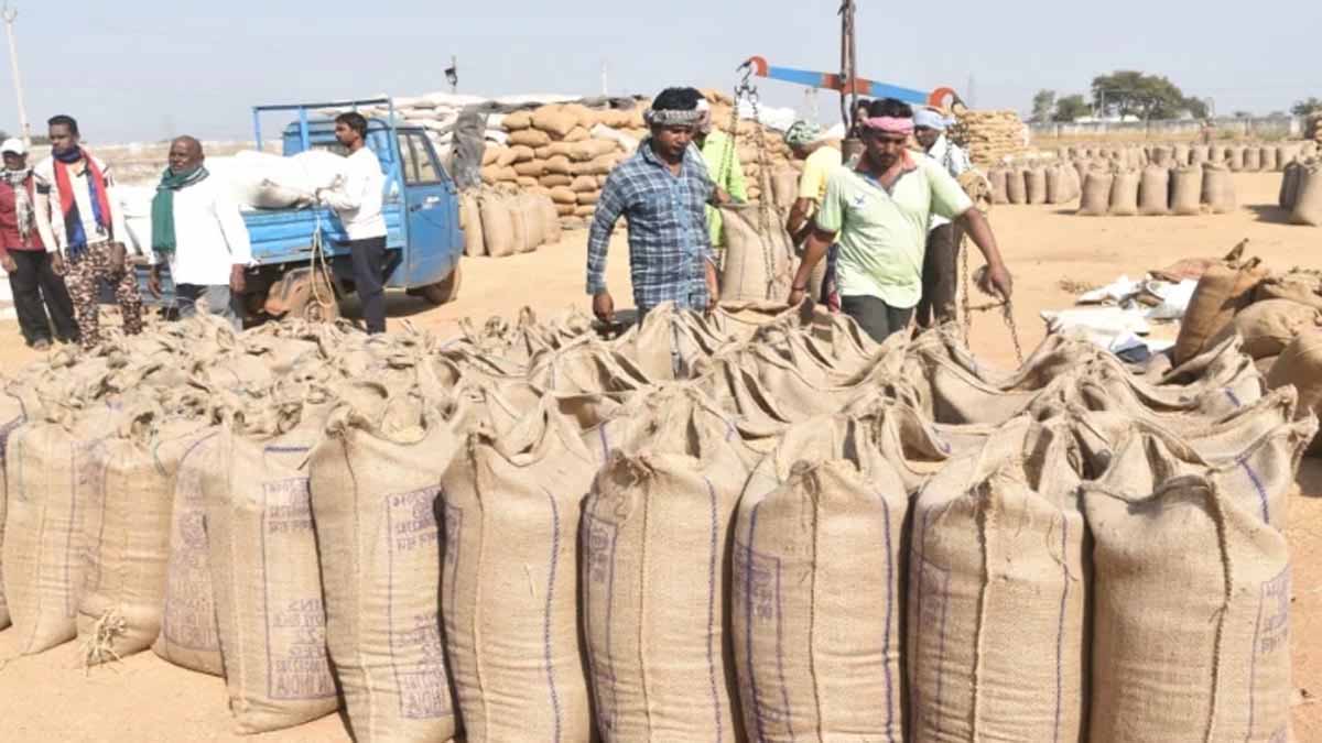 प्रदेश में अब तक 45.54 लाख मीट्रिक टन धान खरीदी