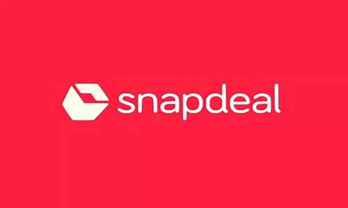 Snapdeal ने 2013 में 388 करोड़ का राजस्व दर्ज किया