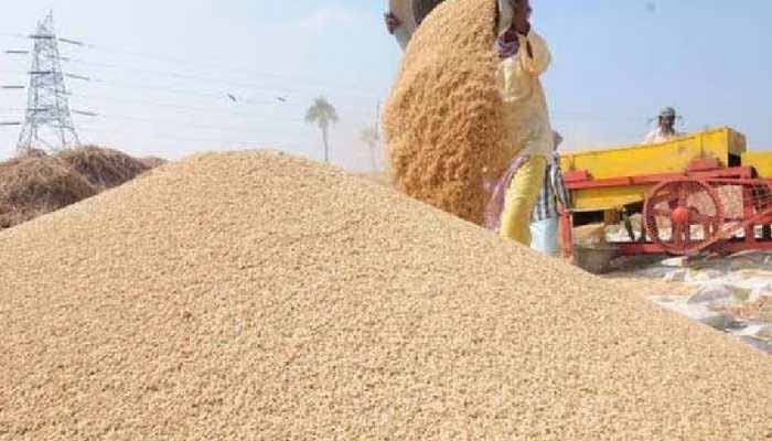 किसानों को 7313 करोड़ रूपए का भुगतान