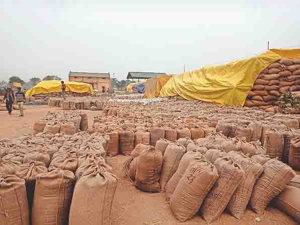 कस्टम मिलिंग के लिए मिलर्स द्वारा 22.90 लाख मीट्रिक टन धान का उठाव