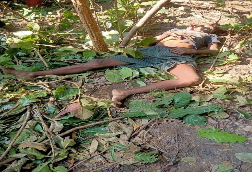 हाथी दल ने बुजुर्ग को कुचला, दर्दनाक मौत