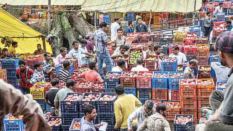 यूनिवर्सल कार्टन लागू करने को मार्केटिंग बोर्ड की कमेटी गठित