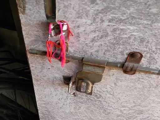 चोरी के बाद घर में लगा दी आग, 2 शातिर चोर गिरफ्तार