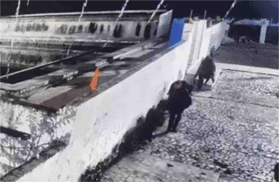 बेखौफ चोरों ने तड़के सुबह गुरुद्वारा साहिब में बोला धावा