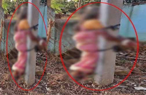 फूलगोभी चुराने के आरोप में बुजुर्ग मां की पिटाई, बेटा गिरफ्तार