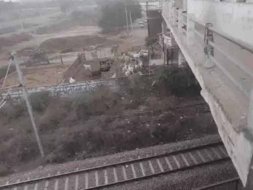सेल्फी लेते हुए लड़की पुल से नीचे रेलवे ट्रैक पर गिरी, फिर