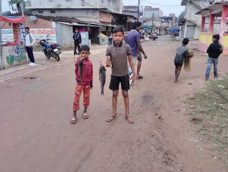 मछलियों की रहस्यमय ढंग से मौत, ग्रामीणों ने की जांच की मौत