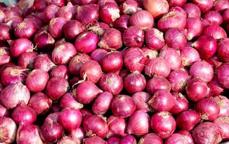 प्याज के निर्यात पर लगा प्रतिबंध