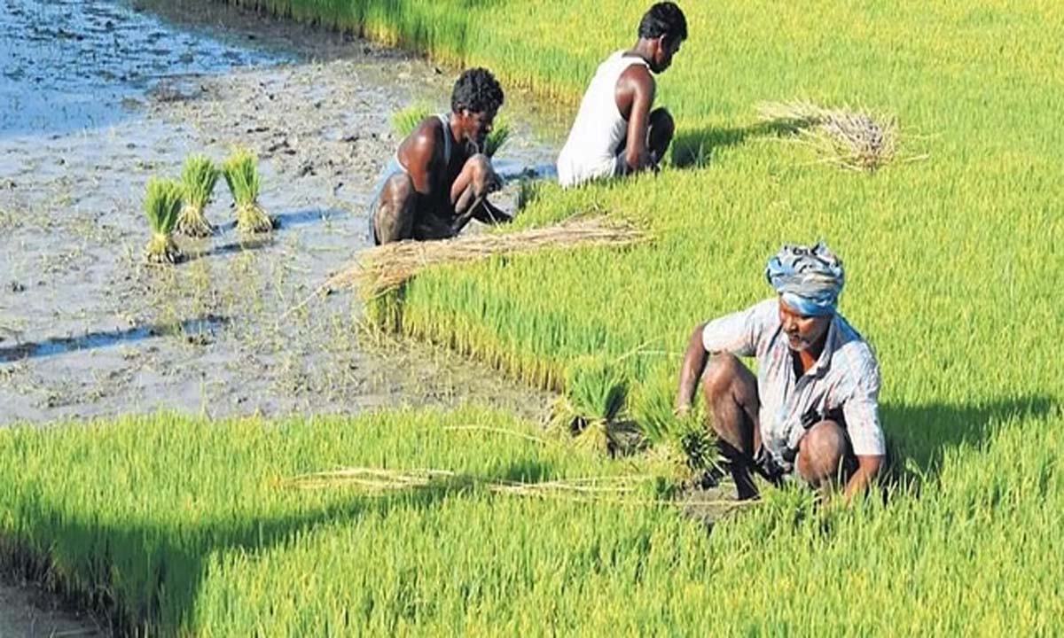 कलबुर्गी के किसानों को एक दशक के बाद प्रति एकड़ 5 हजार रुपये की राहत मिली