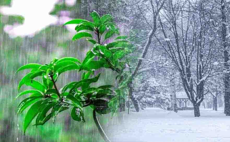कल से बारिश-बर्फबारी के आसार, विभाग का पूर्वानुमान