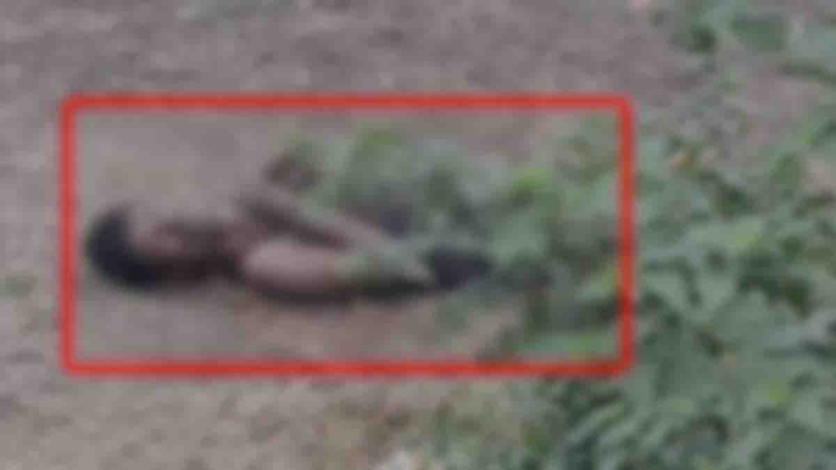 खाली प्लॉट में मिली अज्ञात युवक की लाश, डॉग स्क्वाड मौके पर