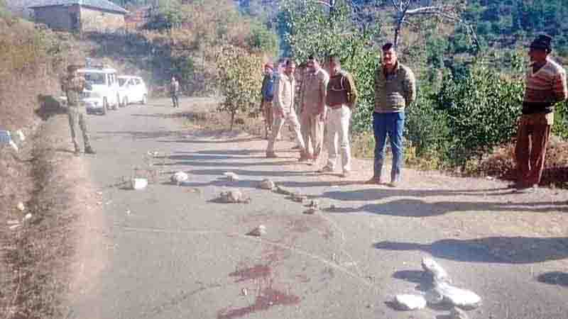 धर्मपुर में युवक की गला काटकर हत्या