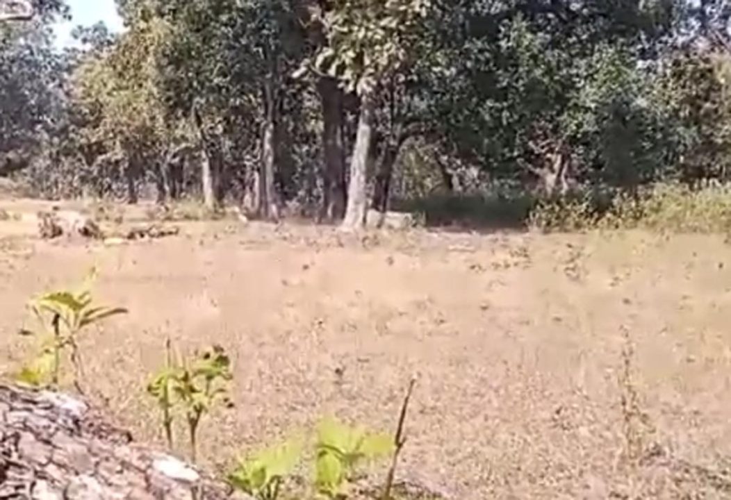 मौत का सामान बिछा रखे थे नक्सली, जवानों ने मंसूबे पर फेरा पानी
