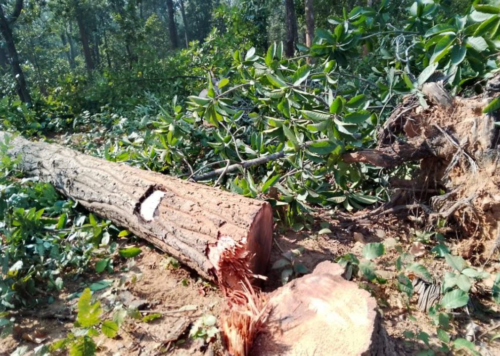 किसान सभा ने की हसदेव के आंदोलनकारियों की रिहाई की मांग