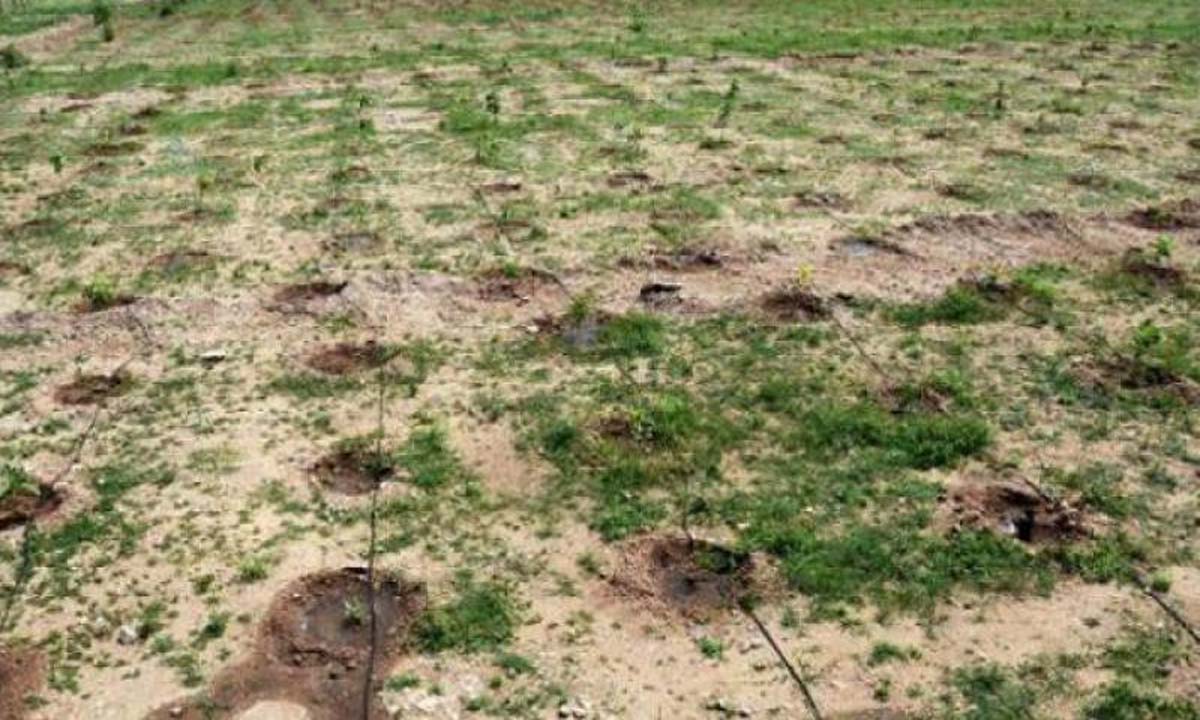 धरणी पैनल ने आदिवासी, कृषि और वन अधिकारियों से मुलाकात की