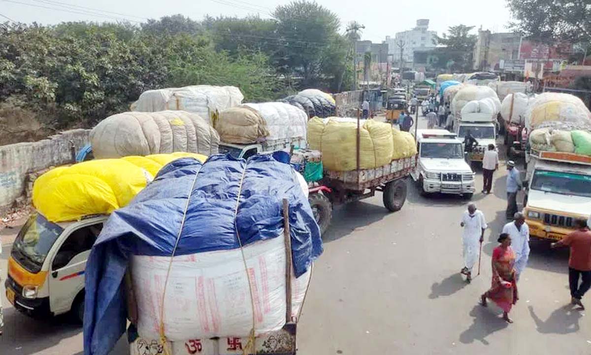 Adilabad: किसानों ने CCI से आदिलाबाद में कपास की खरीद करने की मांग की