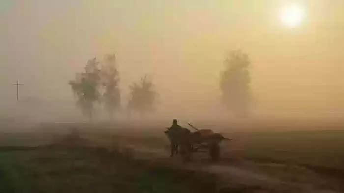 ग्वालियर-भोपाल समेत कई जिलों में सुबह घना कोहरा