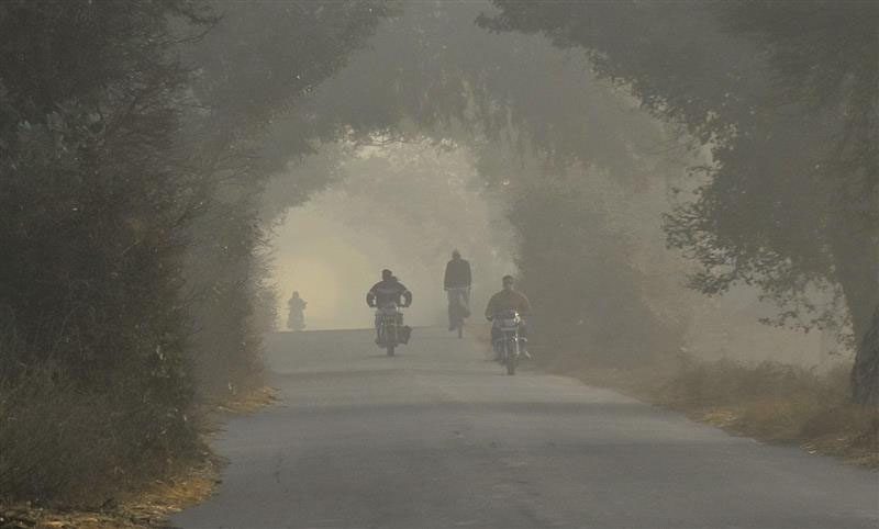 Haryana : हरियाणा में कोहरे, शीतलहर से जनजीवन प्रभावित, उत्तरी जिलों में रेड अलर्ट