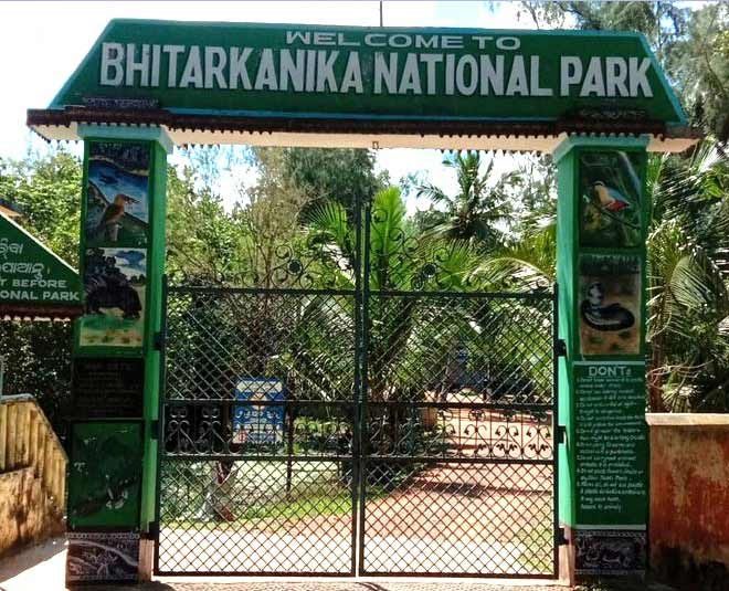 Odisha : भितरकनिका राष्ट्रीय उद्यान कल से आगंतुकों के लिए रहेगा बंद