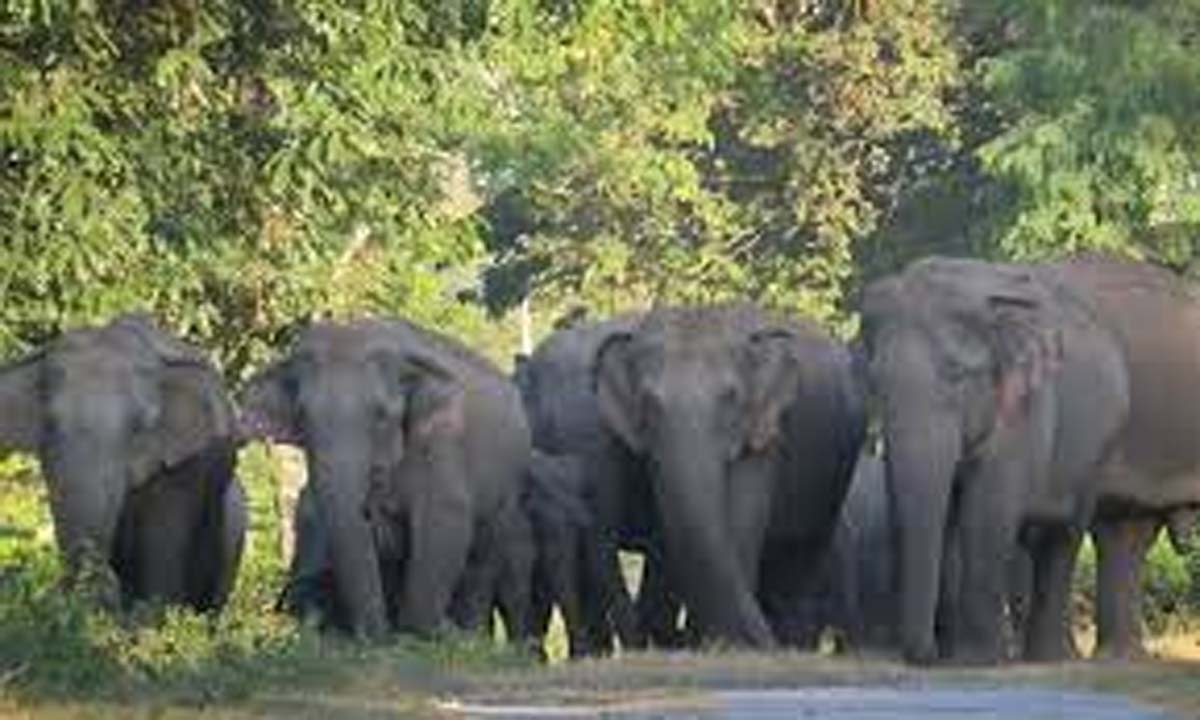 सरकार समुद्री क्लस्टर परियोजना को बड़ा प्रोत्साहन दे रही है कोंकण मैरीटाइम क्लस्टर, वर्ना, जो 2020 में लॉन्च होने के बाद से धीमी गति से चल रहा था, ने आखिरकार नए साल में प्रगति करना शुरू कर दिया है क्योंकि सरकार ने परियोजना के लिए मशीनरी और अन्य बुनियादी ढांचे के कार्यों की आपूर्ति के लिए निविदाएं जारी की हैं। इस परियोजना का उद्देश्य राज्य में शिपिंग और जहाज निर्माण उद्योग को बढ़ावा देना है। इसमें जहाज निर्माताओं और समुद्री क्षेत्र की कंपनियों के लिए सामान्य सुविधाएं बनाना शामिल है जो क्लस्टर की सेवाओं का उपयोग करना चाहते हैं। एक सरकारी सूत्र ने कहा, यह परियोजना भारत का पहला समुद्री क्लस्टर है और साल के अंत तक पूरी तरह से चालू होने की उम्मीद है। मुख्यमंत्री प्रमोद सावंत ने हाल ही में कहा था कि समुद्री क्लस्टर से कम से कम 3,000 नौकरियां पैदा होने की उम्मीद है। क्लस्टर के लिए मशीनरी, पेंटिंग बूथ, औद्योगिक अपशिष्ट निपटान संयंत्र, उपकरण परीक्षण सुविधा और अन्य संबंधित सेवाओं की खरीद के लिए उद्योग, व्यापार और वाणिज्य निदेशालय (डीआईटीसी) द्वारा कुल मिलाकर छह निविदाएं जारी की गई हैं। सूत्र ने बताया कि लगभग `13 करोड़ मूल्य की निविदाएं `16.21 करोड़ के परियोजना परिव्यय का हिस्सा हैं, जिसमें भूमि की लागत और वर्क-शेड पर किया गया व्यय शामिल है। उन्होंने खुलासा किया कि इस परियोजना में कोविड महामारी के साथ-साथ समुद्री क्षेत्र में मंदी के कारण देरी हुई। इसके अलावा स्थानीय एमएसएमई, जो विशेष प्रयोजन वाहन (एसपीवी) के सदस्य हैं, को शेयर पूंजी में योगदान करना मुश्किल हो गया क्योंकि उनके व्यवसाय आर्थिक मंदी से प्रतिकूल रूप से प्रभावित हुए थे। सूत्र ने कहा कि क्लस्टर के एमएसएमई सदस्यों द्वारा वर्क-शेड का निर्माण सरकार के लिए धन जुटाने के लिए एक शर्त है। “भूमि के विकास के कारण परियोजना धीमी हो गई। वर्क-शेड के निर्माण में कुछ समय लगा। हालाँकि, परियोजना शुरू होने वाली है क्योंकि शेड का निर्माण लगभग पूरा हो चुका है, ”स्रोत ने बताया। समुद्री क्लस्टर को चरणों में पूरा किया जा रहा है, और पहला चरण इस साल अप्रैल तक पूरा होने की उम्मीद है। दूसरा चरण, जिसमें कंप्यूटर, सॉफ्टवेयर पैकेज आदि की खरीद शामिल है, कुछ महीनों के बाद शुरू होगा। केएमसी की स्थापना एमएसएमई मंत्रालय की क्लस्टर विकास योजना (सीडीएस) के तहत की जा रही है। यह राज्य का पहला एमएसएमई क्लस्टर है। क्लस्टर स्थापित करने के लिए, स्थानीय एमएसएमई ने वर्ना इंडस्ट्रियल एस्टेट में औद्योगिक भूखंडों के लिए आवेदन किया था। यह परियोजना जून 2020 में जीआईडीसी द्वारा आवंटित 14,380 वर्ग मीटर भूमि पर शुरू की गई थी। क्लस्टर सुविधाएं जहाजों और अन्य समुद्री जहाजों के डिजाइन और निर्माण के लिए हैं। समुद्री क्लस्टर का कार्यान्वयन खादी और ग्रामोद्योग बोर्ड, गोवा द्वारा किया जा रहा है, जबकि डीआईटीसी इसके लिए नोडल एजेंसी है। केवीआईसी-गोवा के एक अधिकारी ने कहा, "एसपीवी में वर्तमान में लगभग 36 सदस्य हैं, जो परियोजना पूरी होने के बाद 110 सदस्यों तक जाने की उम्मीद है।"