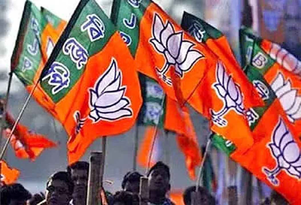 त्तरी कछार हिल्स स्वायत्त परिषद चुनाव में भाजपा की शानदार जीत