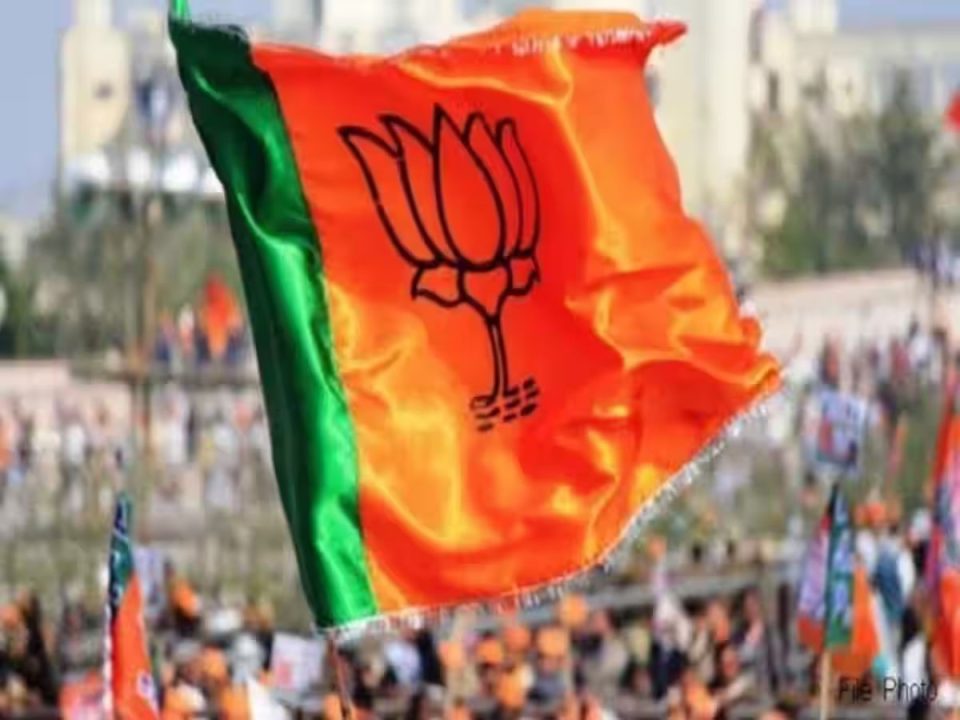 Assam : उत्तरी कछार हिल्स स्वायत्त परिषद में भाजपा ने जीतीं 25 सीटें
