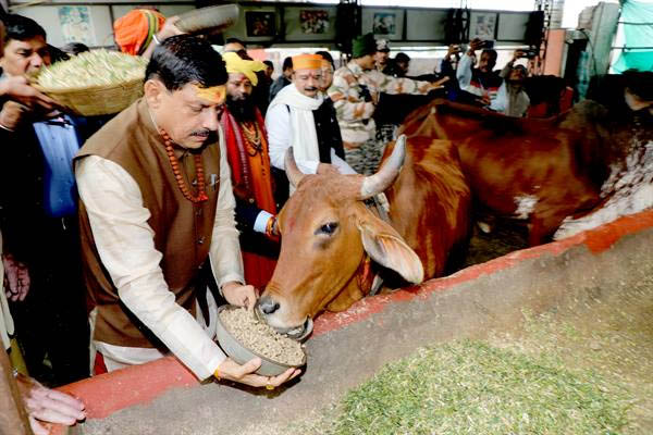 मुख्यमंत्री डॉ. यादव ने उज्जैन में भी ठंड में ठिठुरते लोगों को दिया सहारा