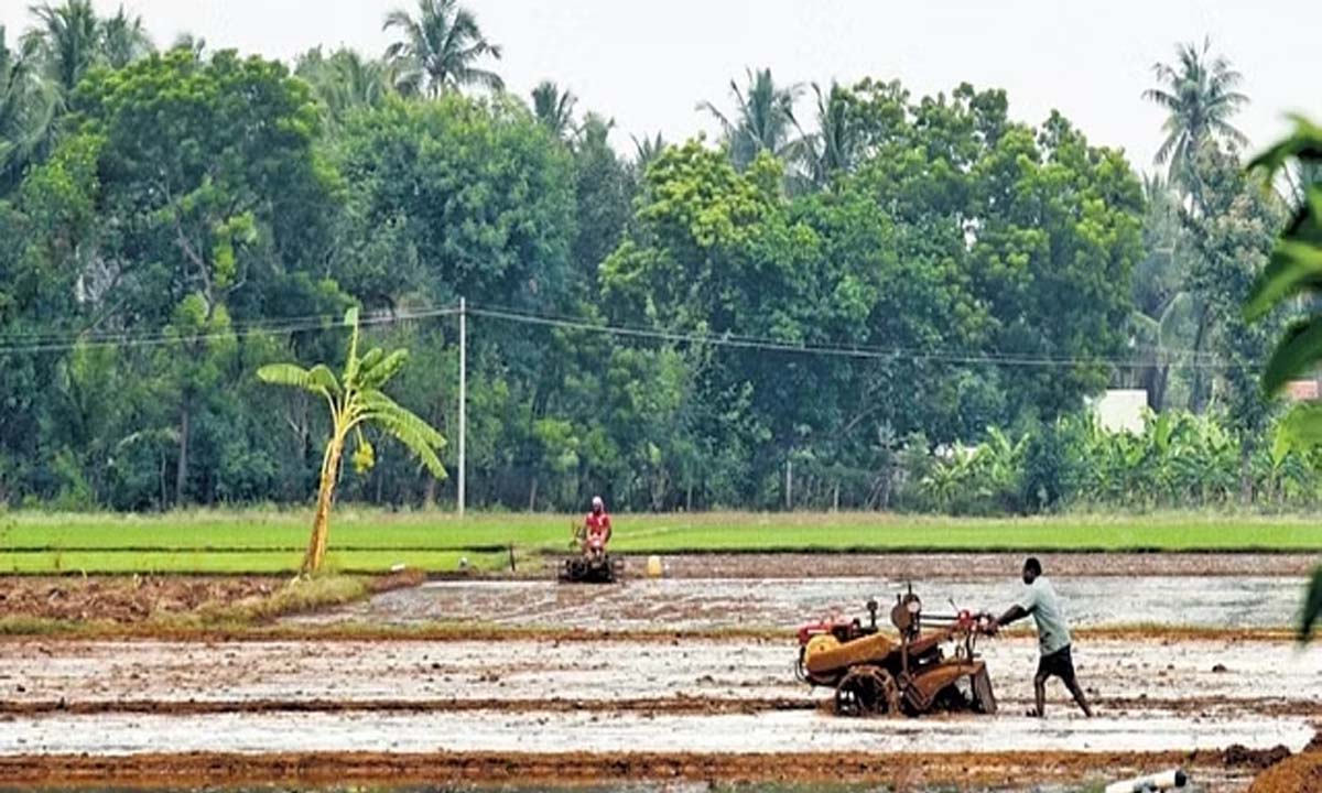Tamil Nadu: बेमौसम बारिश से खेतों में पानी भर गया, किसान राहत की तलाश में