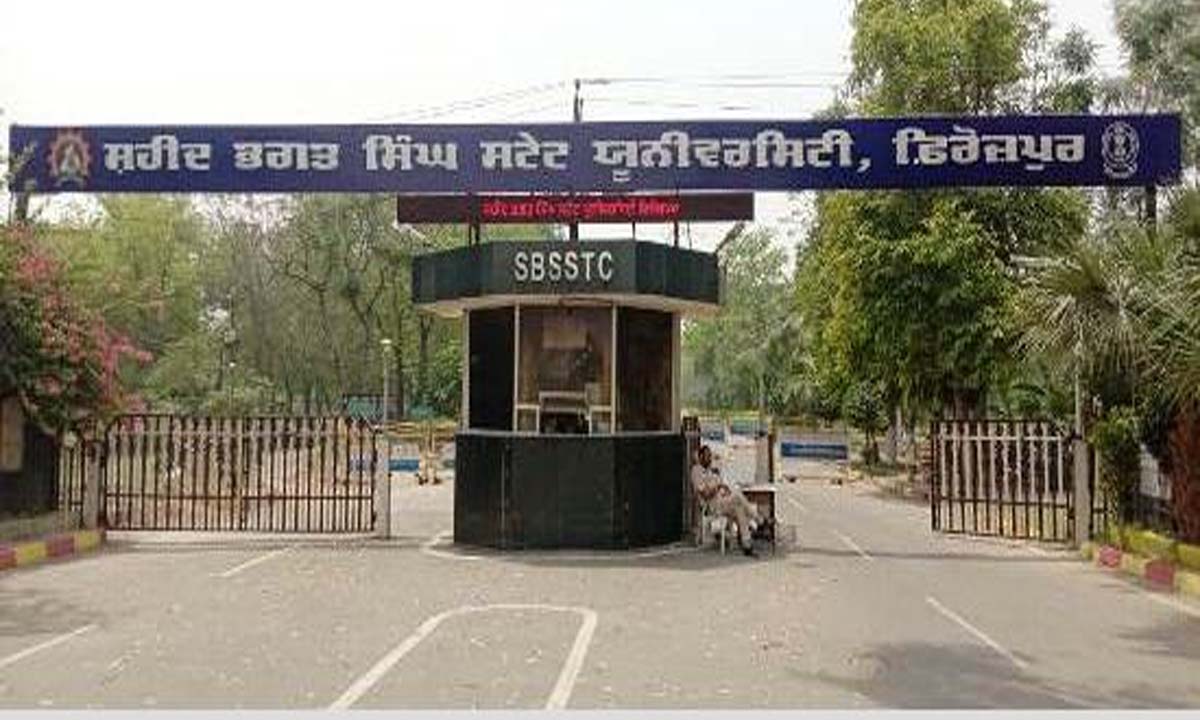 Firozpur: SBS स्टेट यूनिवर्सिटी फिरोजपुर के 58 विद्यार्थियों को बहुराष्ट्रीय कंपनियों में प्लेसमेंट मिला