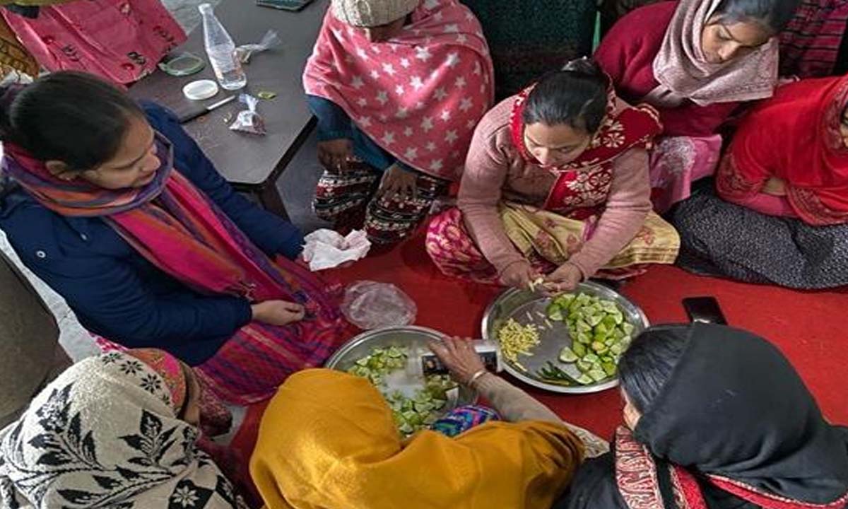 PAU फल और सब्जी संरक्षण के माध्यम से उद्यमिता विकास को बढ़ावा देता