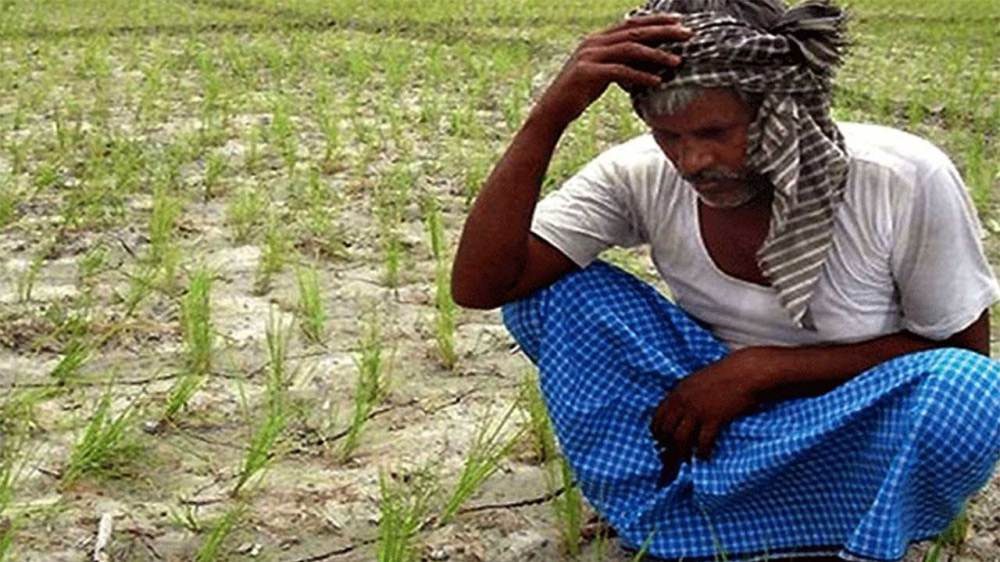 Gujarat : कृषि उपज की लगातार गिरती कीमतों से गुजरात के 56 लाख किसान प्रभावित