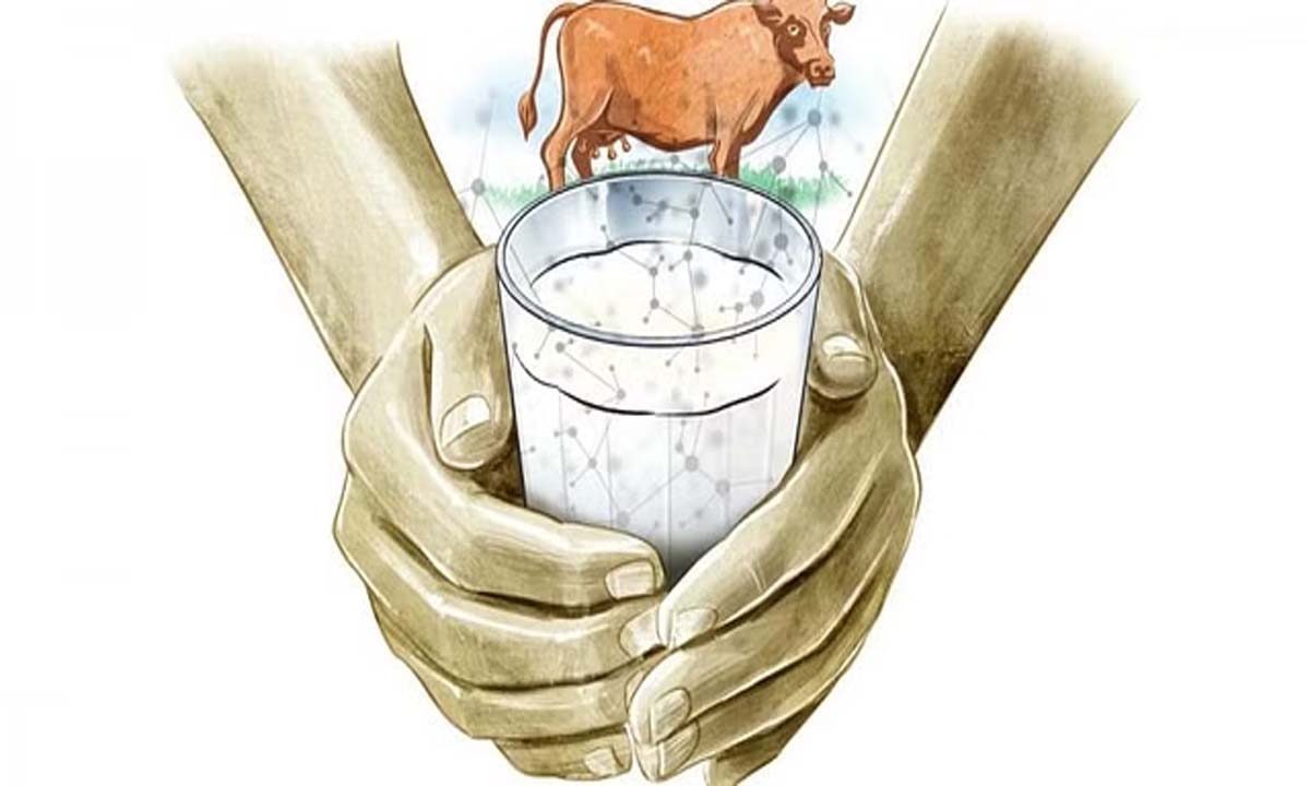 Kerala: निर्बाध ट्रैकिंग, अधिक पैदावार के लिए मवेशी क्षेत्र को डिजिटल बनाना