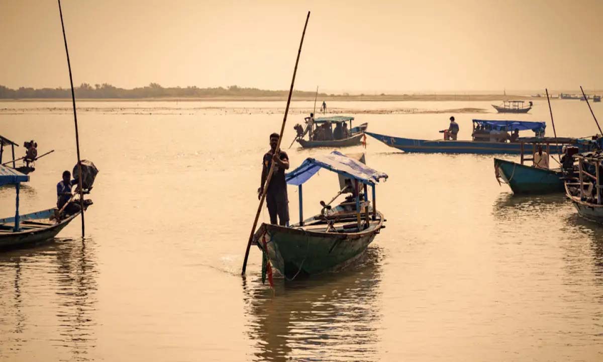 Odisha: चिल्का झील पक्षियों की गिनती के लिए 3, 4 जनवरी को आगंतुकों के लिए बंद रहेगी