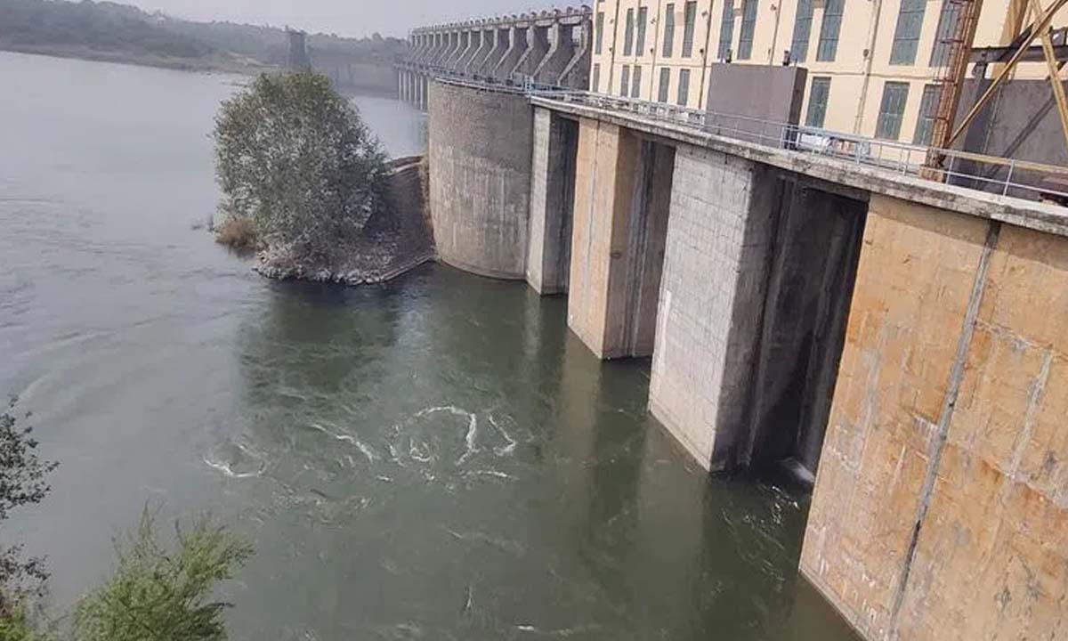 Medak: किसानों की यासांगी जरूरतों को पूरा करने के लिए सिंगुर से पानी छोड़ा गया