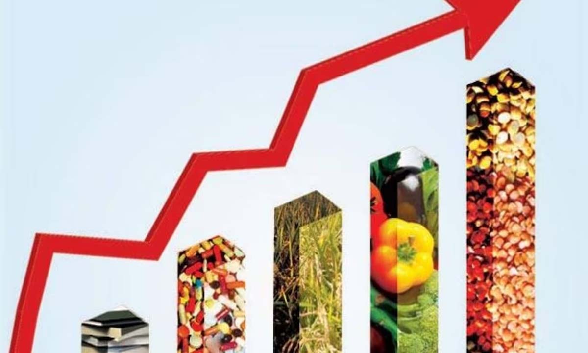 पाकिस्तान में महंगाई की मार से आम जनता परेशान