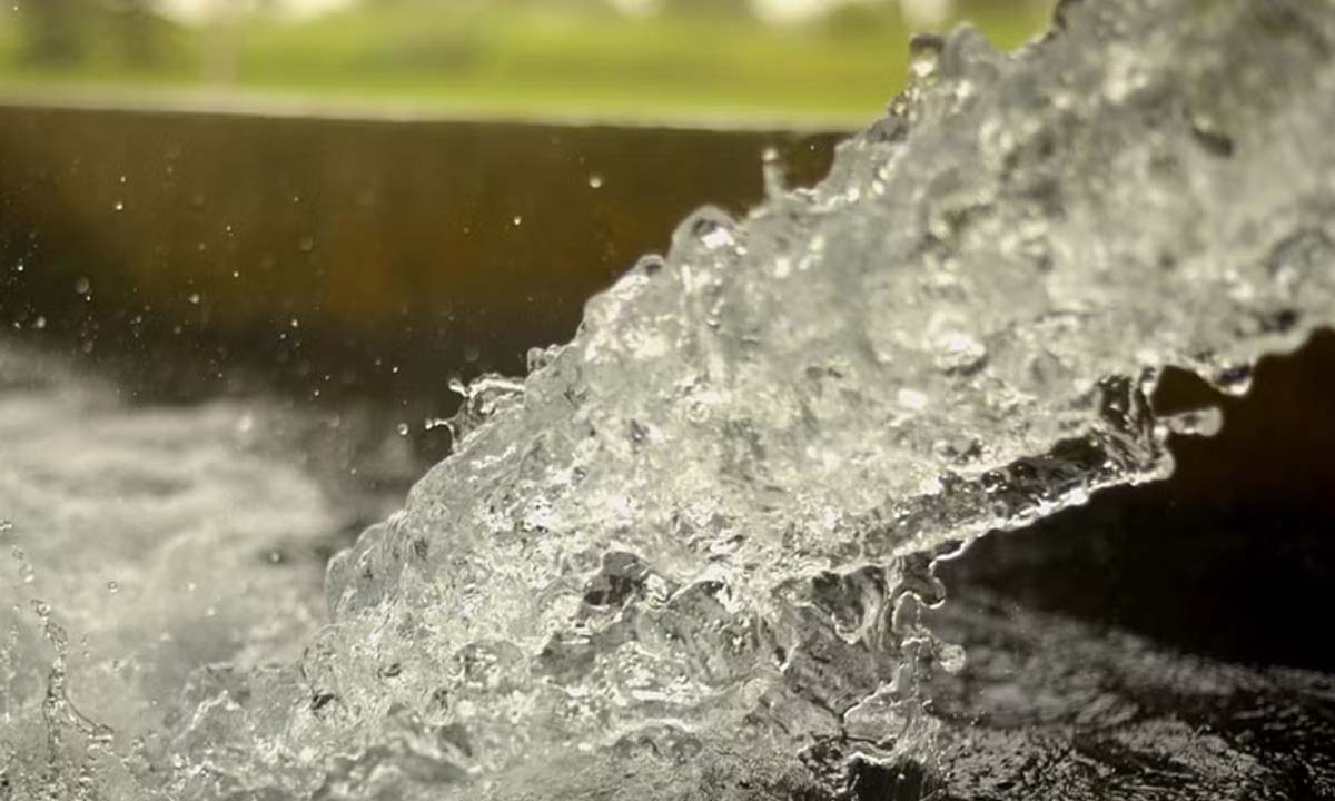 Meghalaya: नए साल का स्वागत करने के लिए कार्यकर्ताओं ने आधी रात को बर्फ के ठंडे पानी में लगाई डुबकी